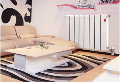 武漢銅鋁復(fù)合暖氣片