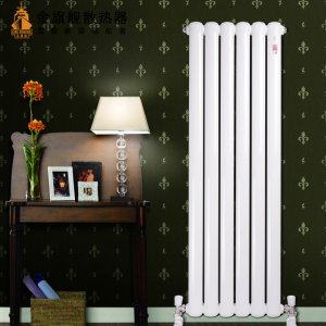 家用暖氣片,銅鋁復(fù)合暖氣片樣式 家用暖氣片,銅鋁復(fù)合暖氣片樣式